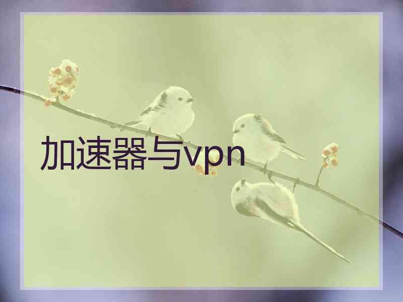 加速器与vpn