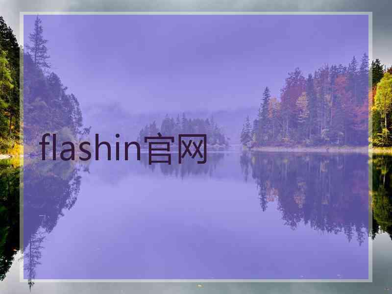 flashin官网