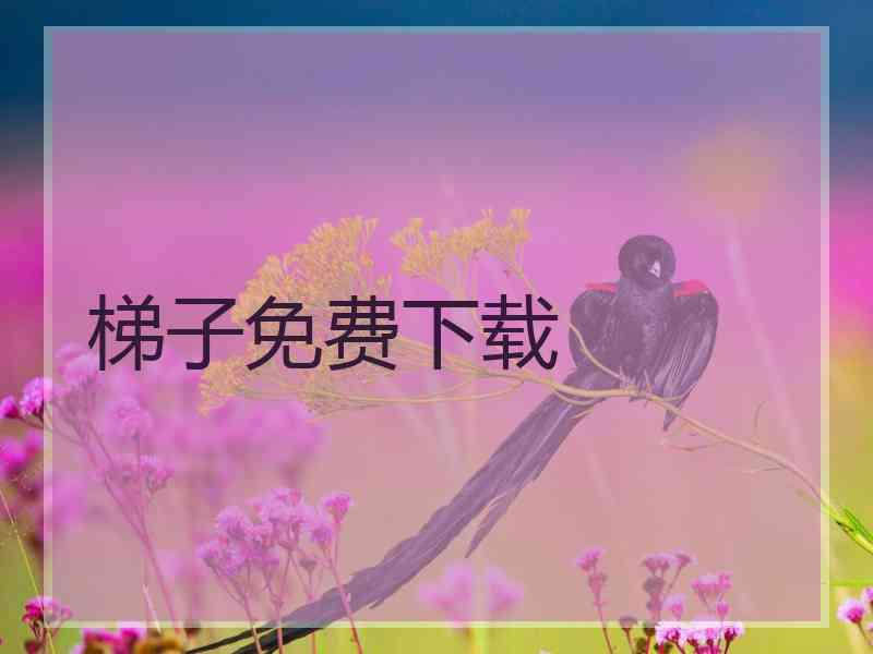 梯子免费下载