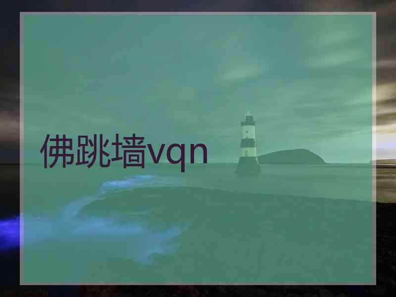 佛跳墙vqn