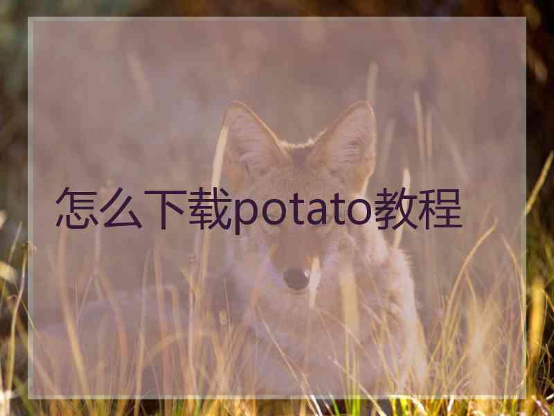 怎么下载potato教程