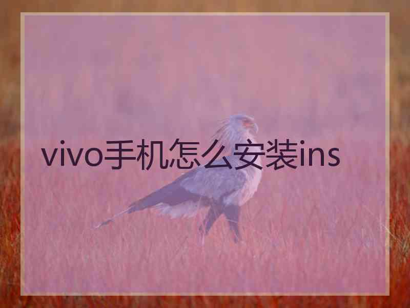 vivo手机怎么安装ins