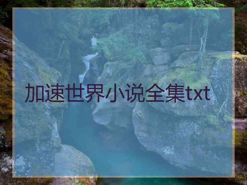 加速世界小说全集txt