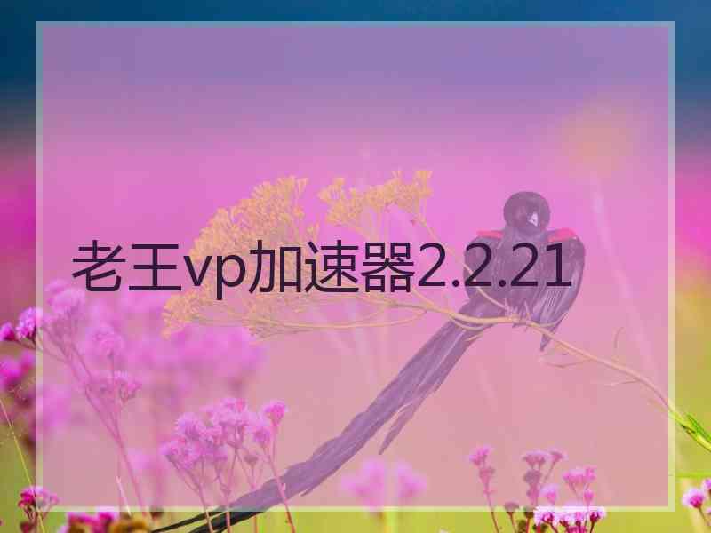 老王vp加速器2.2.21