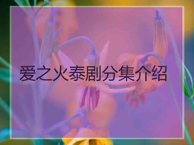 爱之火泰剧分集介绍