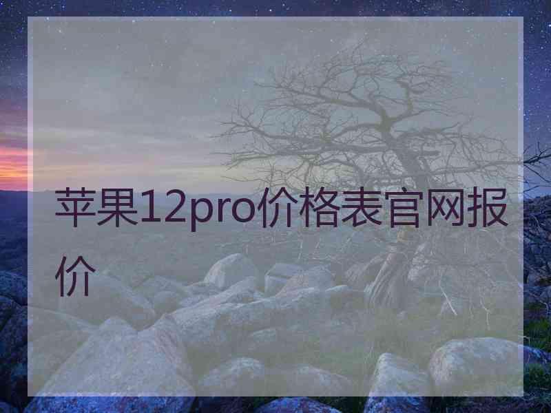 苹果12pro价格表官网报价