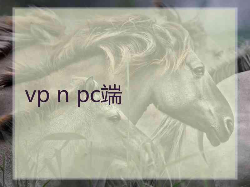 vp n pc端