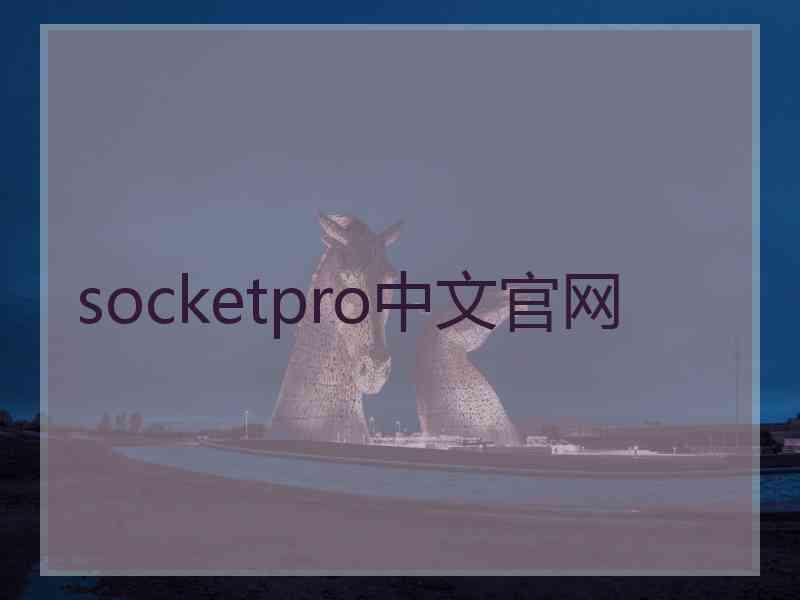 socketpro中文官网