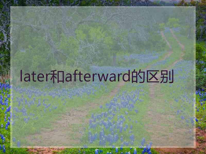 later和afterward的区别