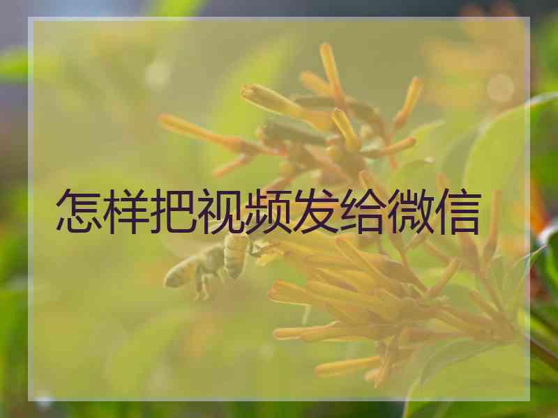 怎样把视频发给微信