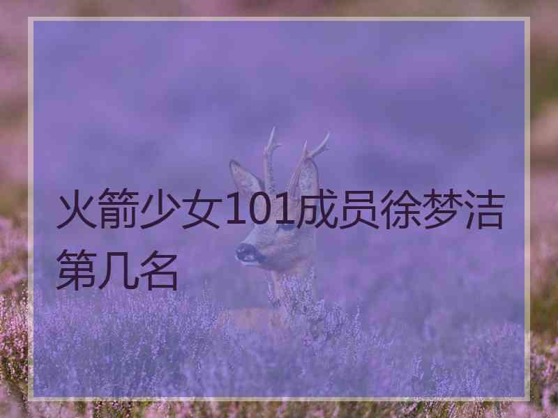 火箭少女101成员徐梦洁第几名