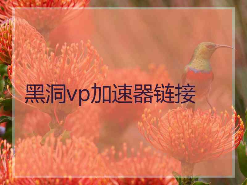 黑洞vp加速器链接