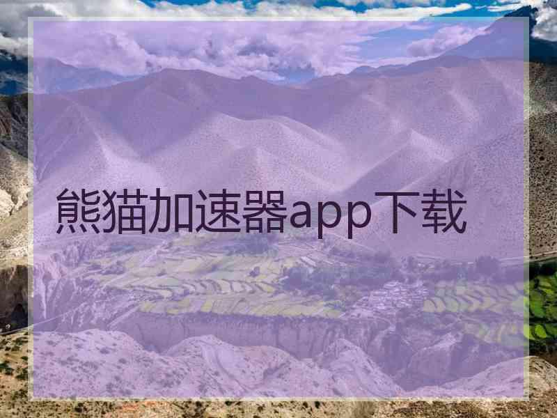 熊猫加速器app下载