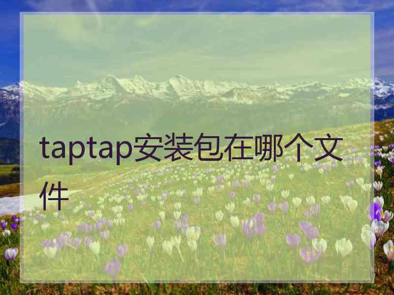 taptap安装包在哪个文件