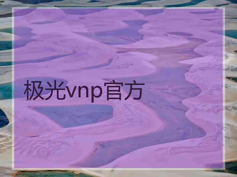 极光vnp官方