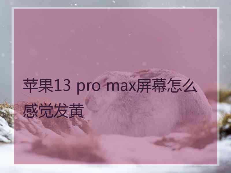 苹果13 pro max屏幕怎么感觉发黄