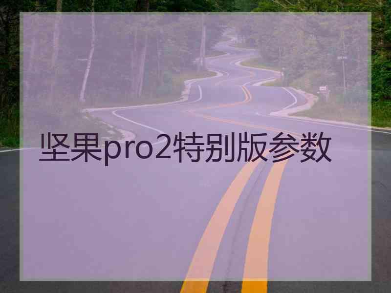 坚果pro2特别版参数