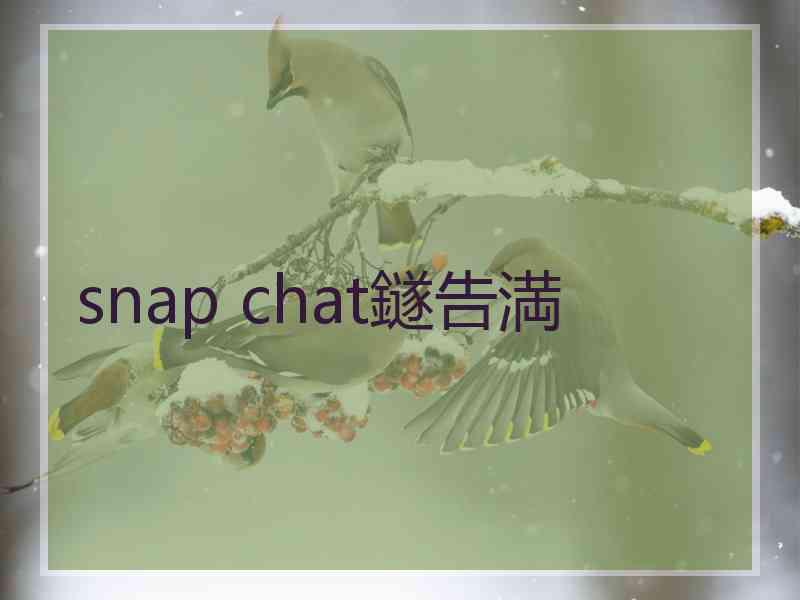 snap chat鐩告満