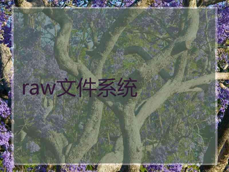 raw文件系统