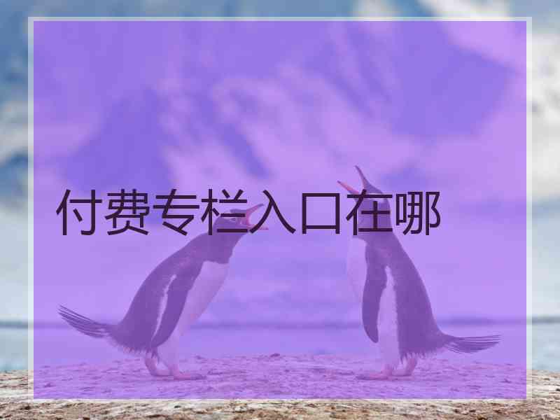 付费专栏入口在哪