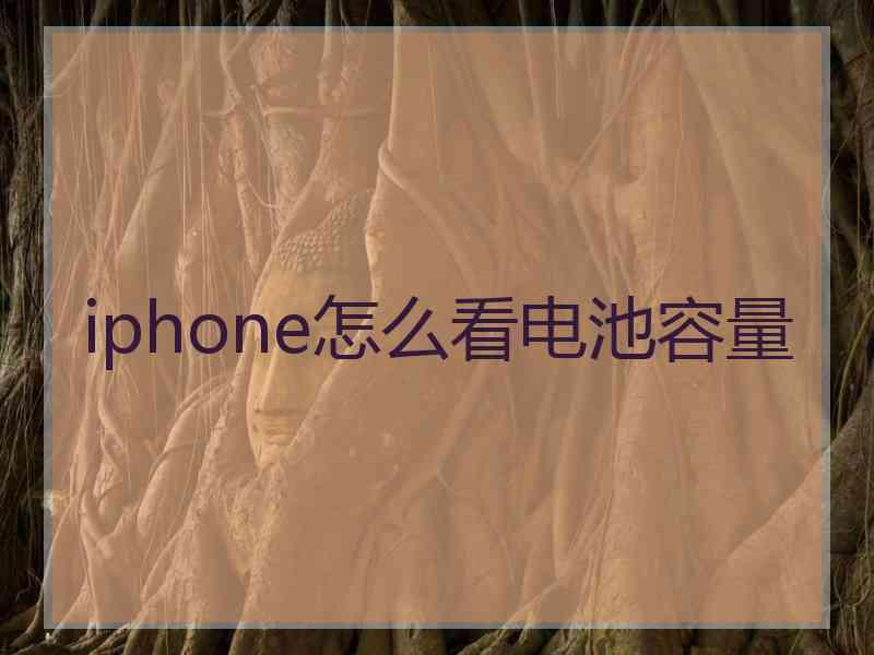 iphone怎么看电池容量