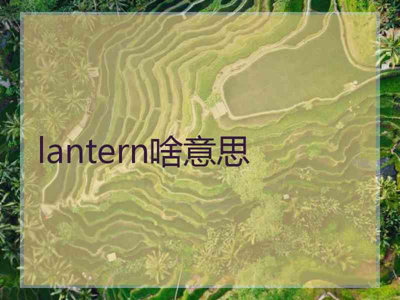 lantern啥意思