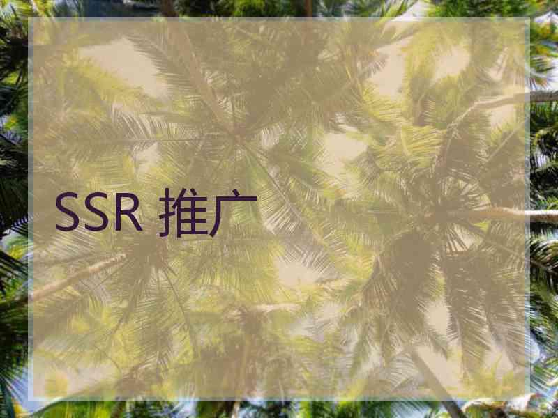 SSR 推广