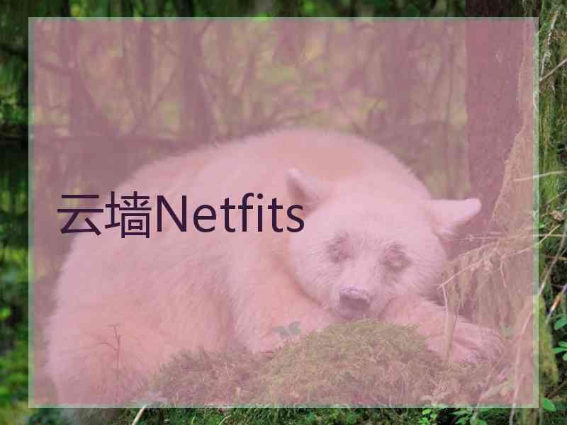 云墙Netfits