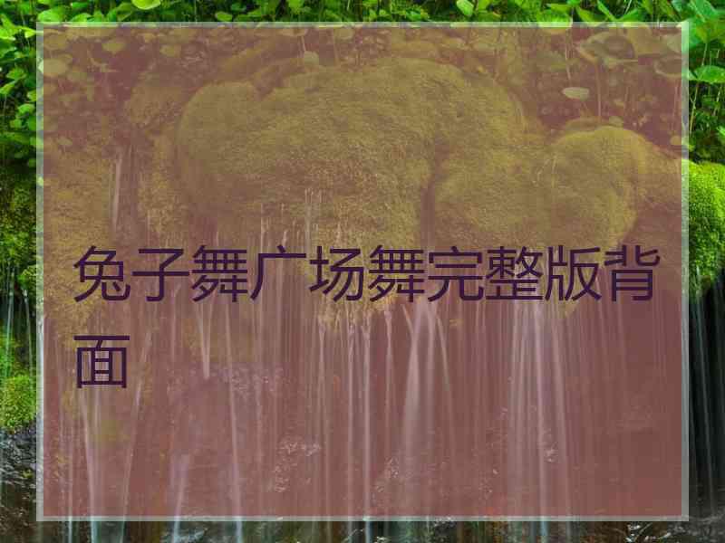 兔子舞广场舞完整版背面