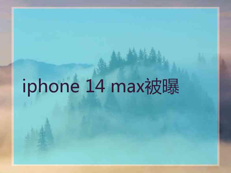 iphone 14 max被曝