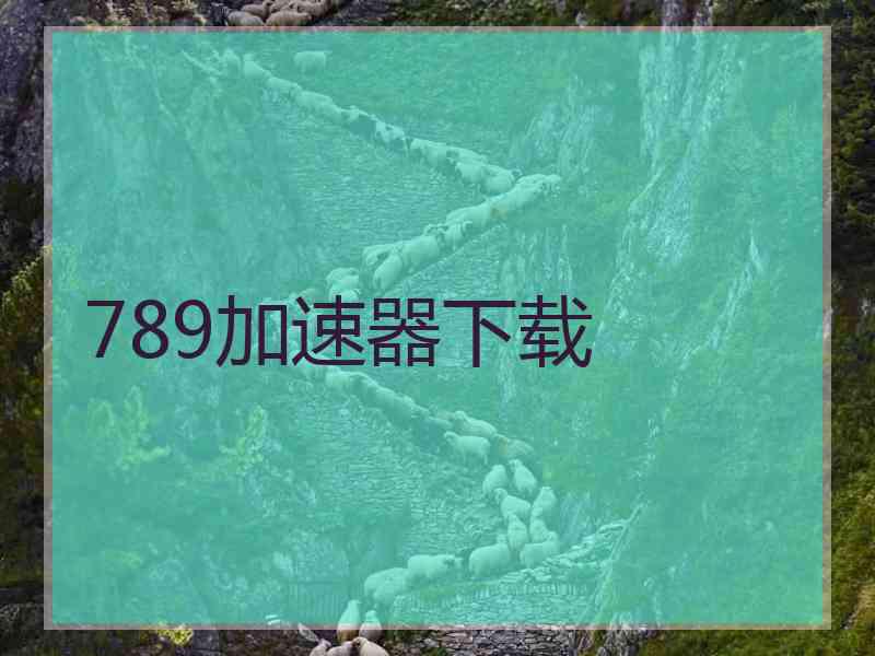 789加速器下载