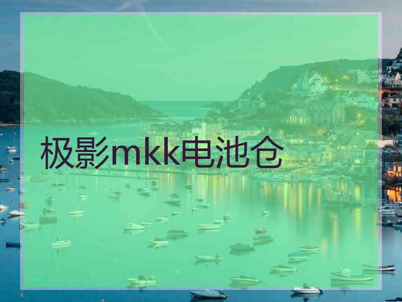 极影mkk电池仓