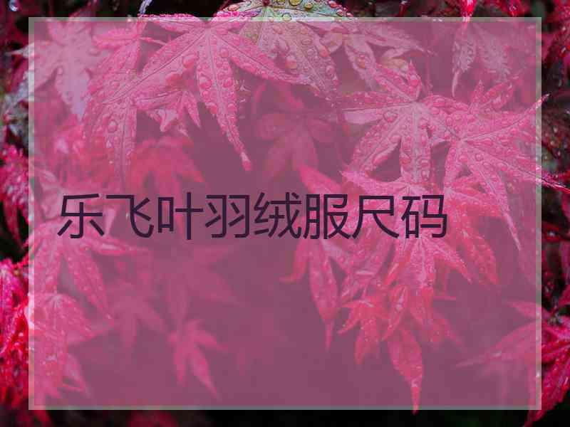 乐飞叶羽绒服尺码