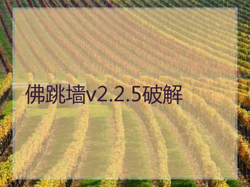 佛跳墙v2.2.5破解