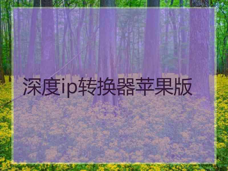 深度ip转换器苹果版