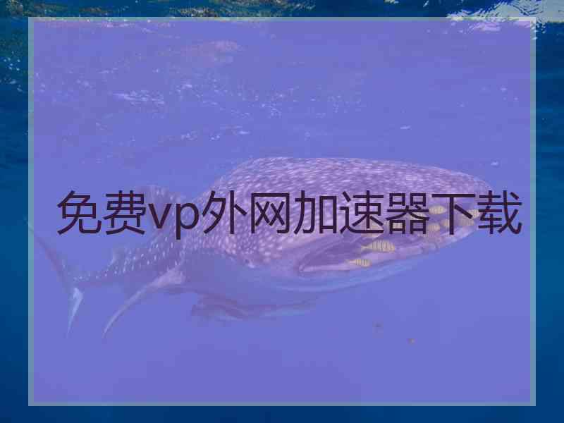 免费vp外网加速器下载