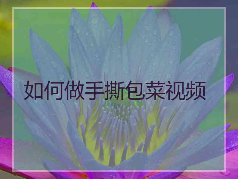 如何做手撕包菜视频