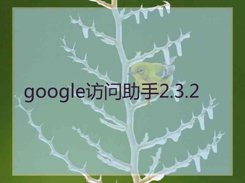 google访问助手2.3.2