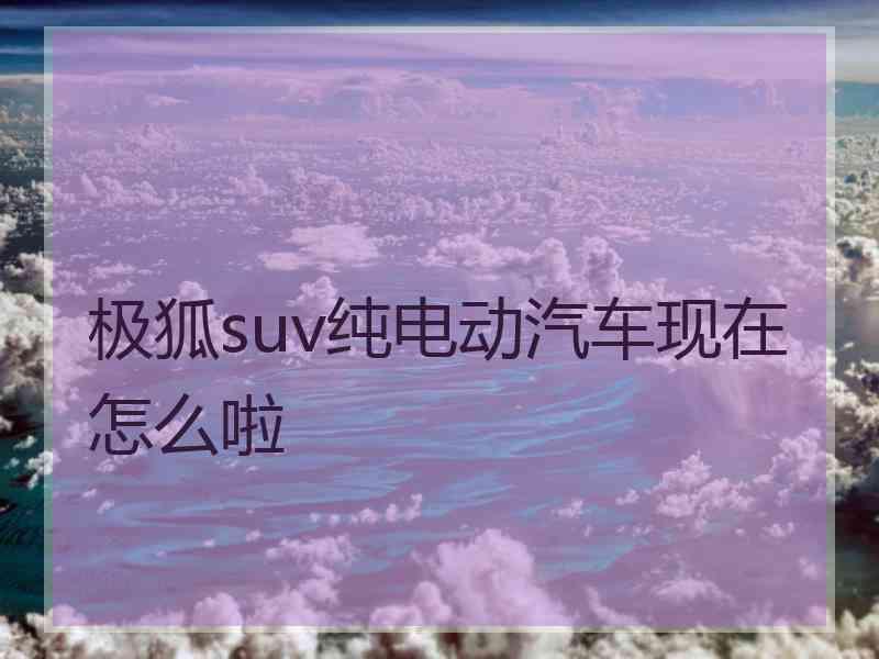 极狐suv纯电动汽车现在怎么啦