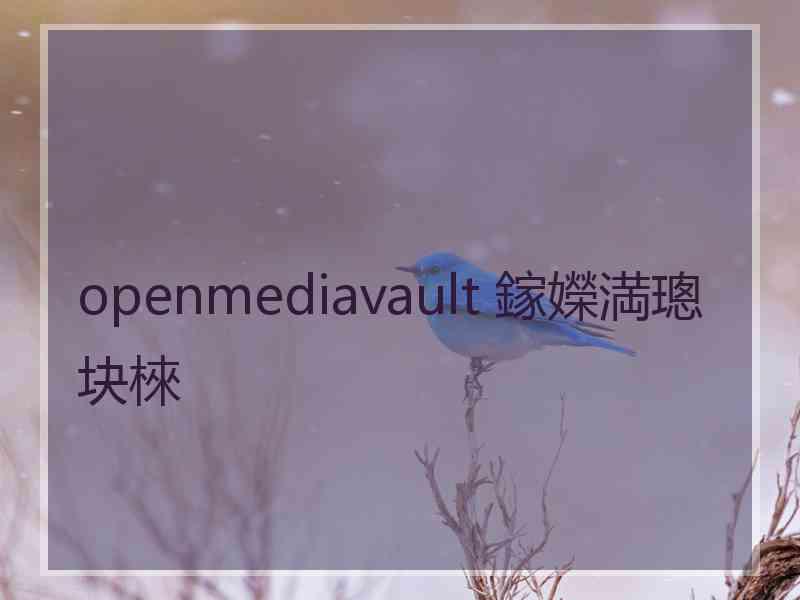 openmediavault 鎵嬫満璁块棶