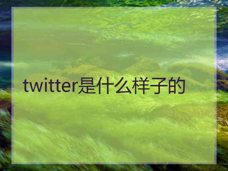 twitter是什么样子的