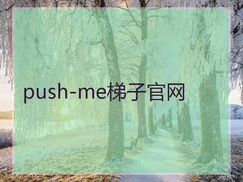 push-me梯子官网