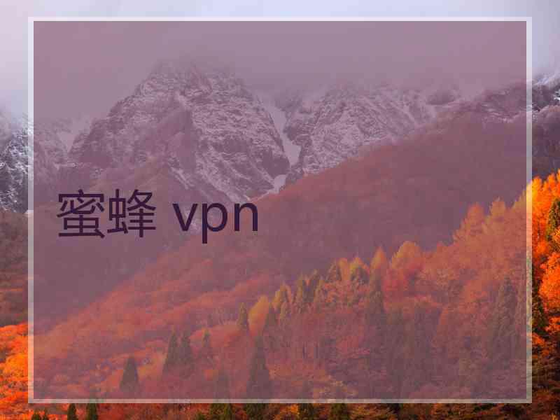 蜜蜂 vpn