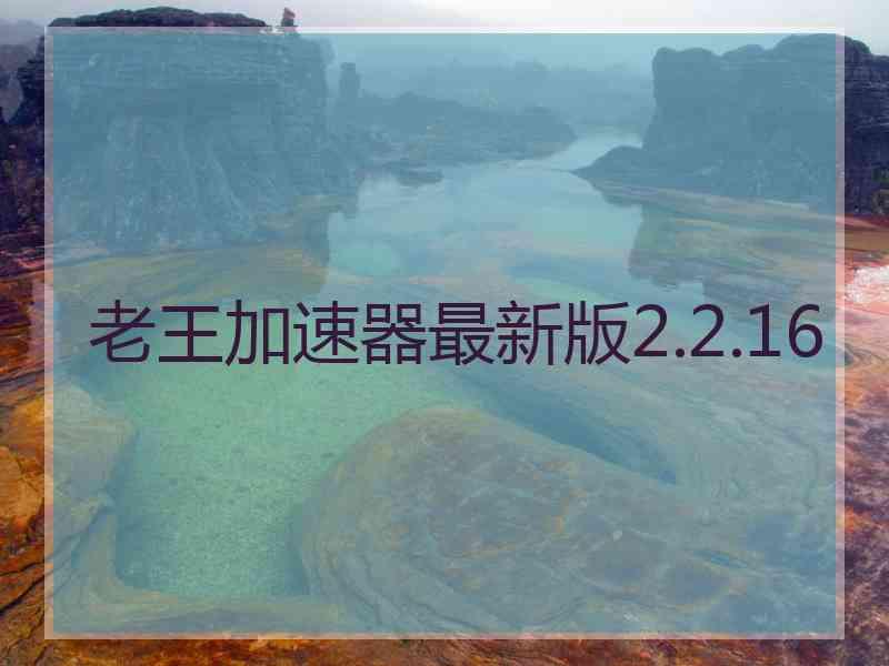 老王加速器最新版2.2.16