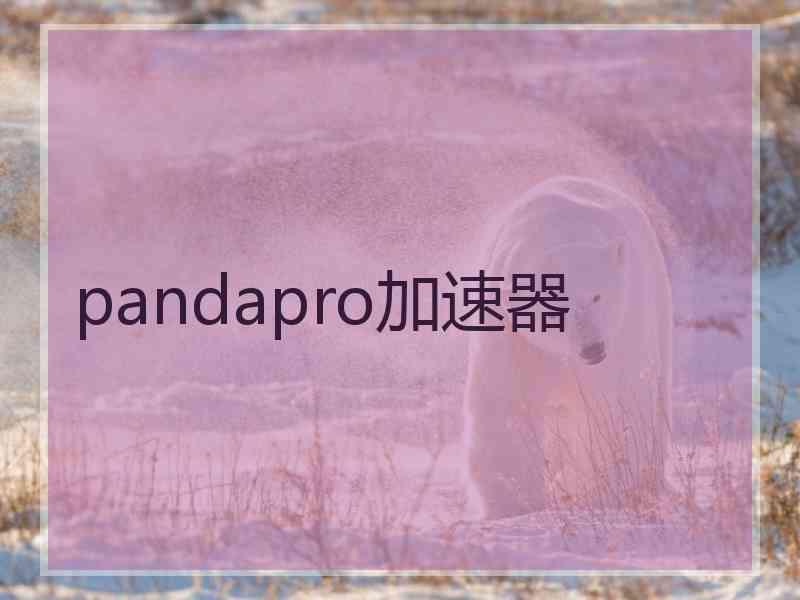 pandapro加速器