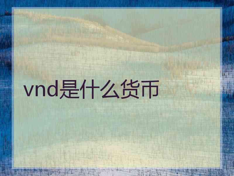 vnd是什么货币