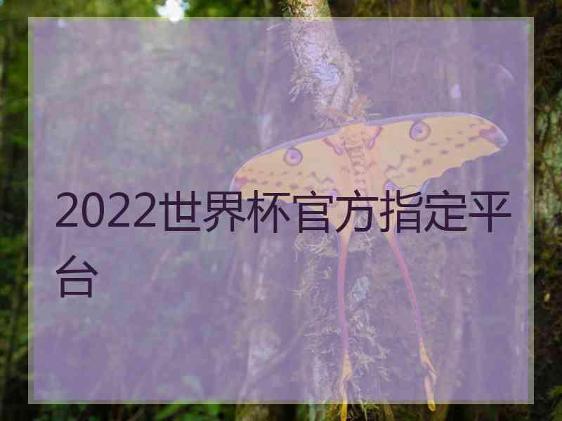 2022世界杯官方指定平台