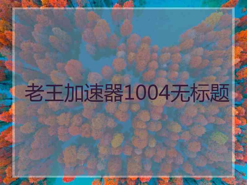 老王加速器1004无标题