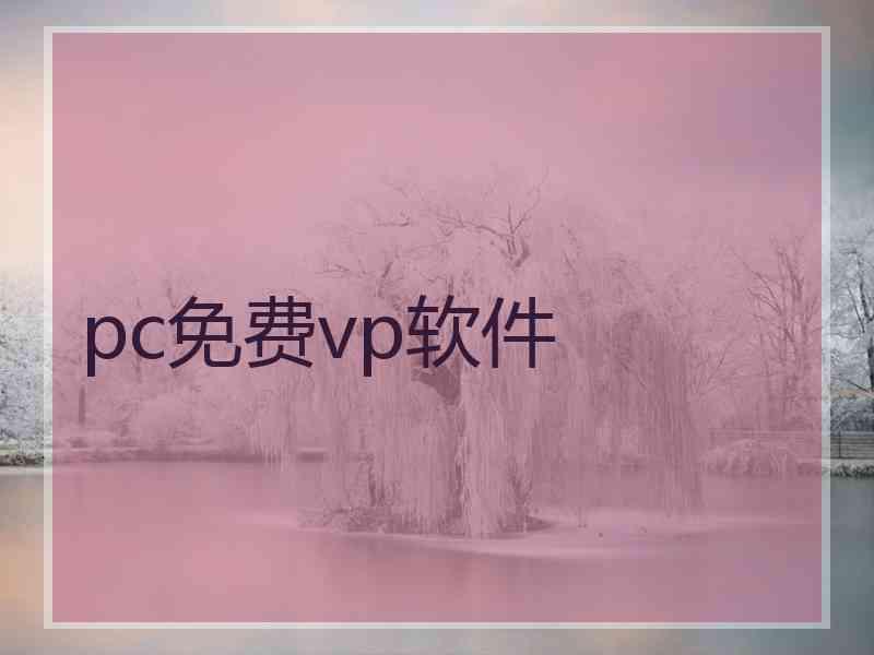 pc免费vp软件