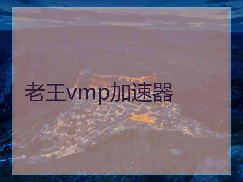 老王vmp加速器